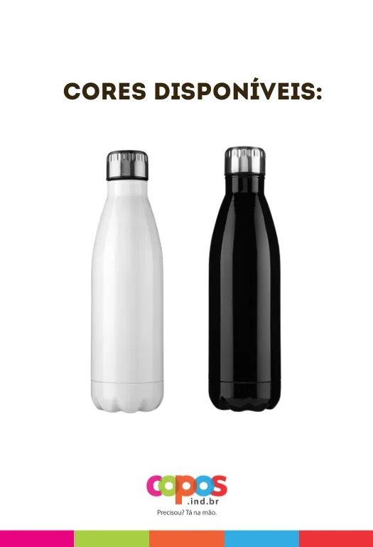 Garrafa Inox